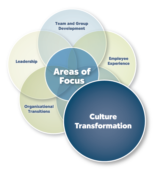 Assessing Your Culture diagram