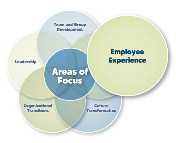 Employee Engagement Survey diagram