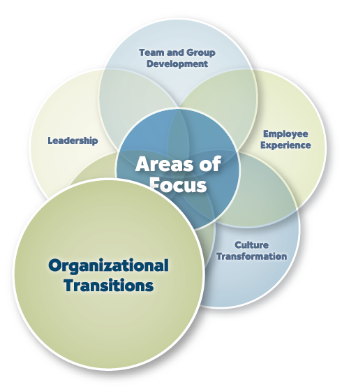 Organizational Transition transition